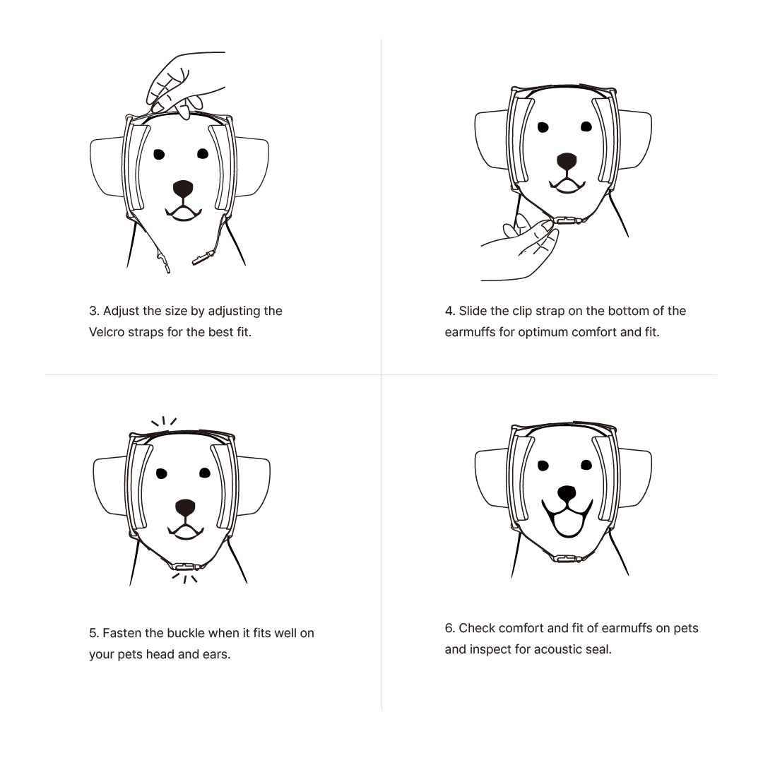 Adjusting pet earmuffs: tightening straps, fastening buckle, and checking fit.