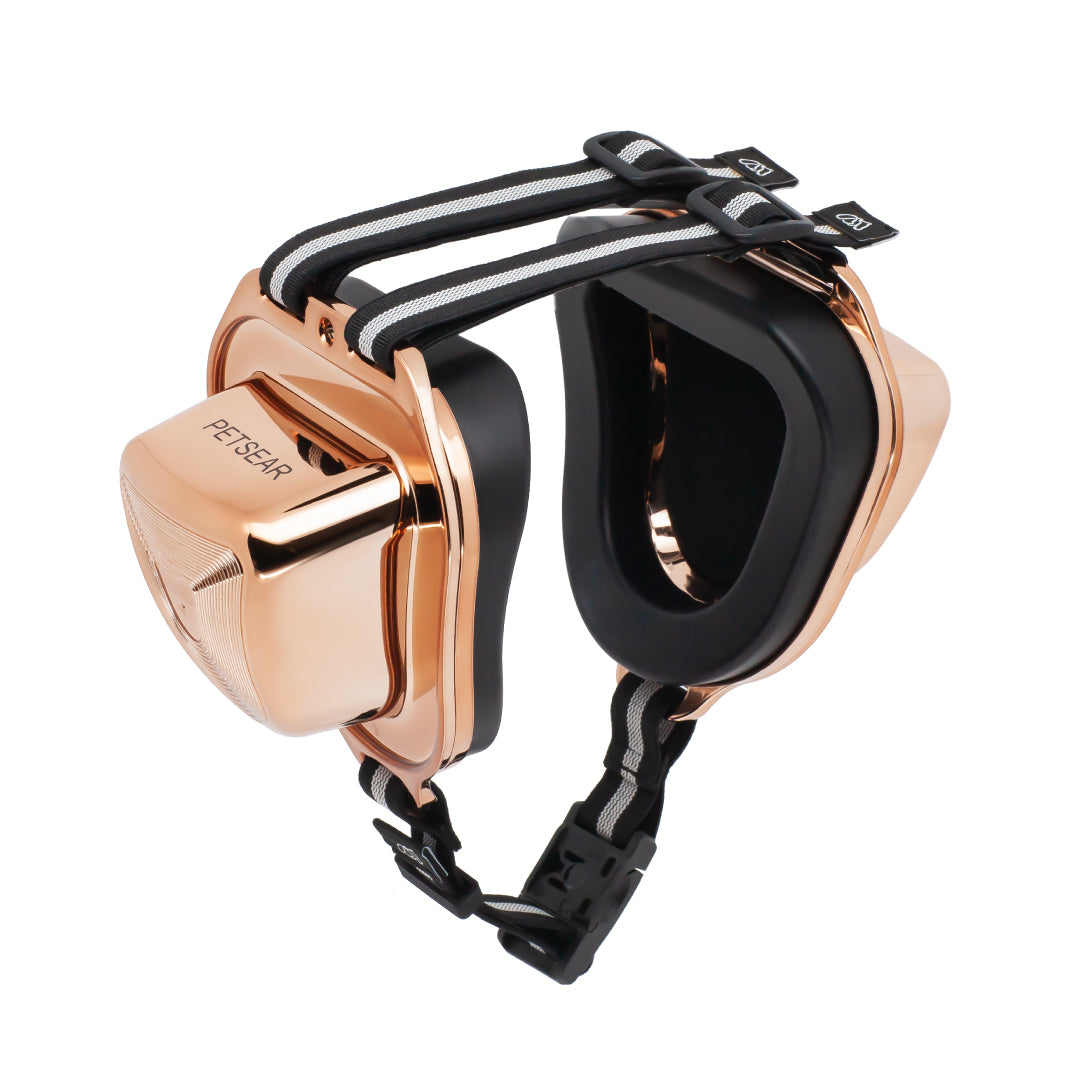 PetsEar gold dogs and cats earmuffs with black lining and striped straps, luxury design for pets headphones