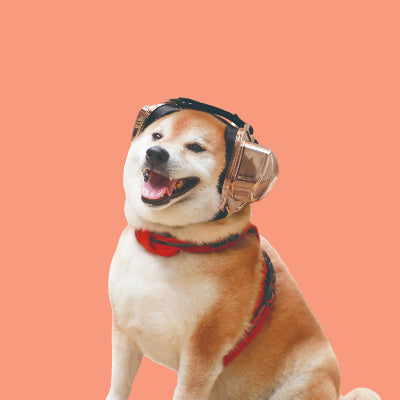 @petsear_japan