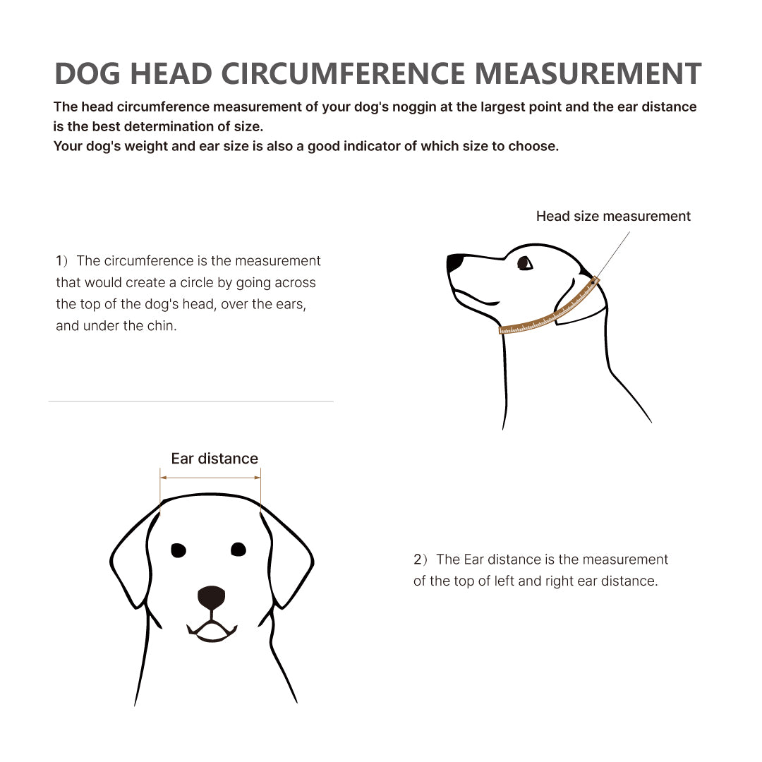 Diagram illustrating how to measure a dog's head circumference and ear distance.