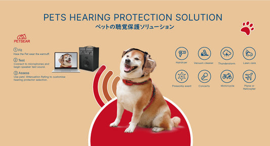Protecting the hearing of our pets