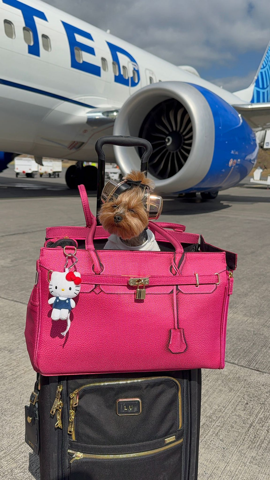 A small dog wearing protective earmuffs posing beside an airplane, ready to board