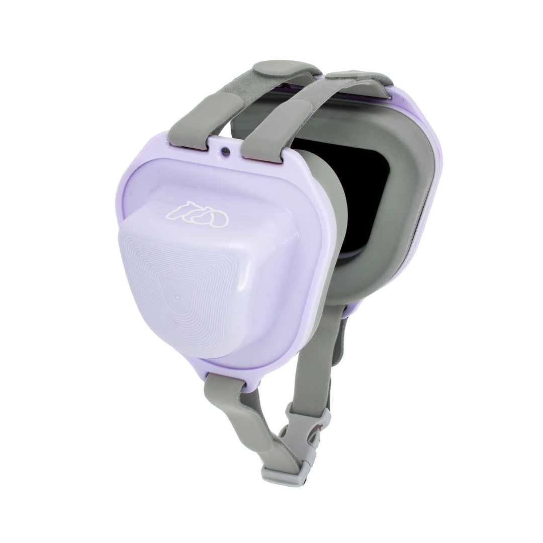 A purple pet earmuff with grey lining and adjustable Velcro straps, designed for secure and comfortable fit, provide noise reduction
