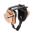 Load image into Gallery viewer, PetsEar gold dogs and cats earmuffs with black lining and striped straps, luxury design for pets headphones
