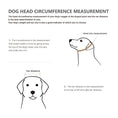 Load image into Gallery viewer, Diagram illustrating how to measure a dog's head circumference and ear distance.
